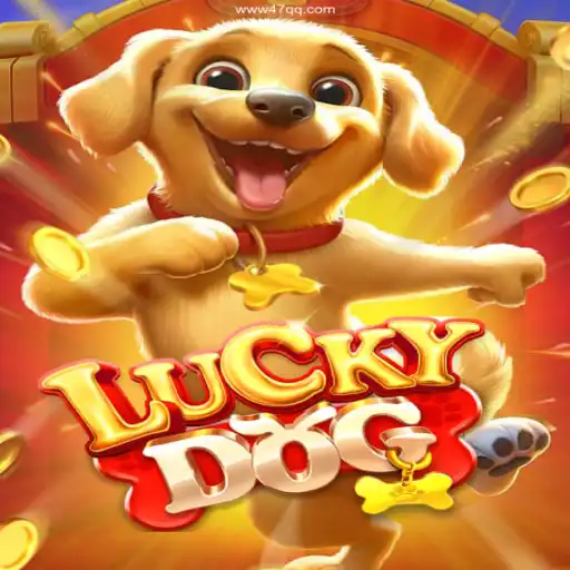 Exploring LuckyDog: A Thrilling Adventure in Gaming